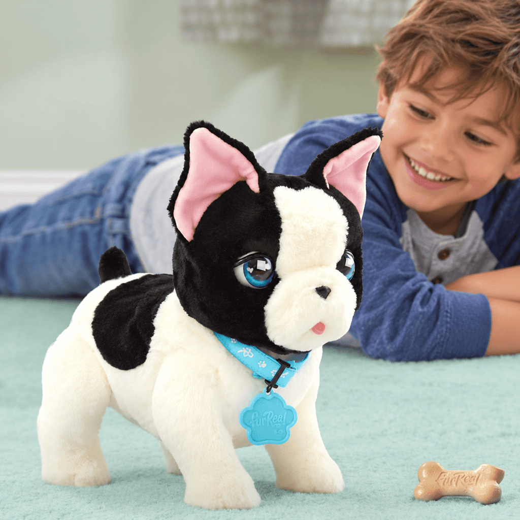 FurReal Train and Play Frenchie Assortment