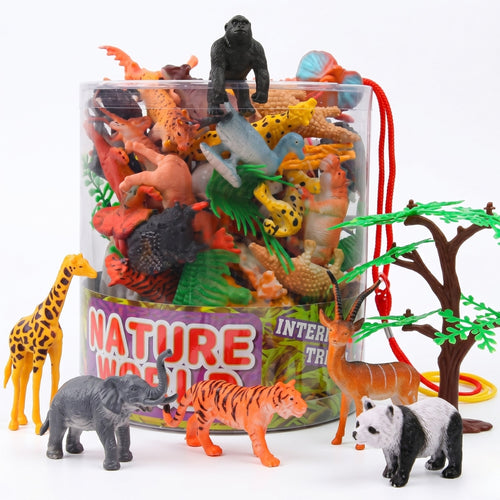 Animals & Nature