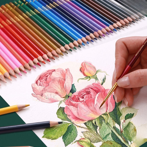Drawing & Coloring