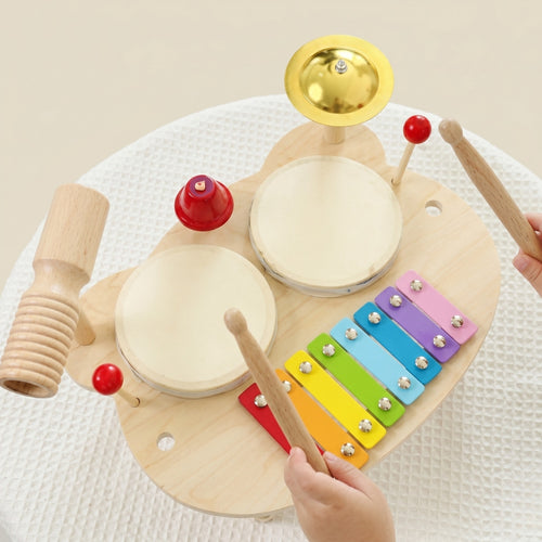 Musical Toys & Instruments