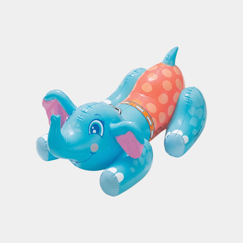 Pool Toys