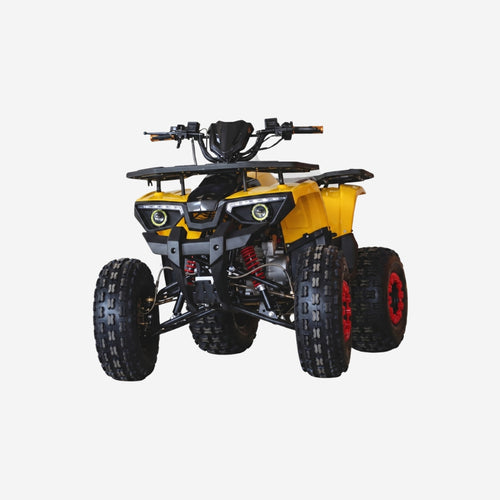 ATVs & UTVs