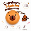 Capybara Squishies - Cute Capybara Animal Squeeze Balls - Anxiety Relief Fidget Squishies