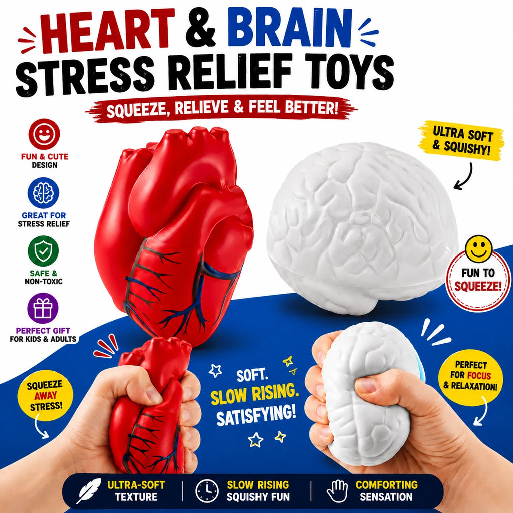 2 Pcs Anatomy Heart Brain Stress Toy Set - Foam Squeeze Balls