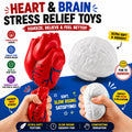 2 Pcs Anatomy Heart Brain Stress Toy Set - Foam Squeeze Balls